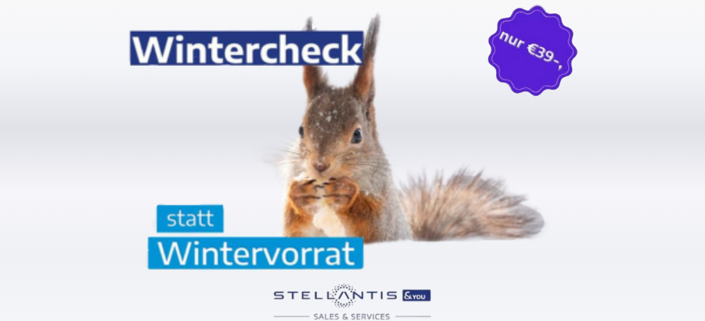 Wintercheck  - Stellantis &You